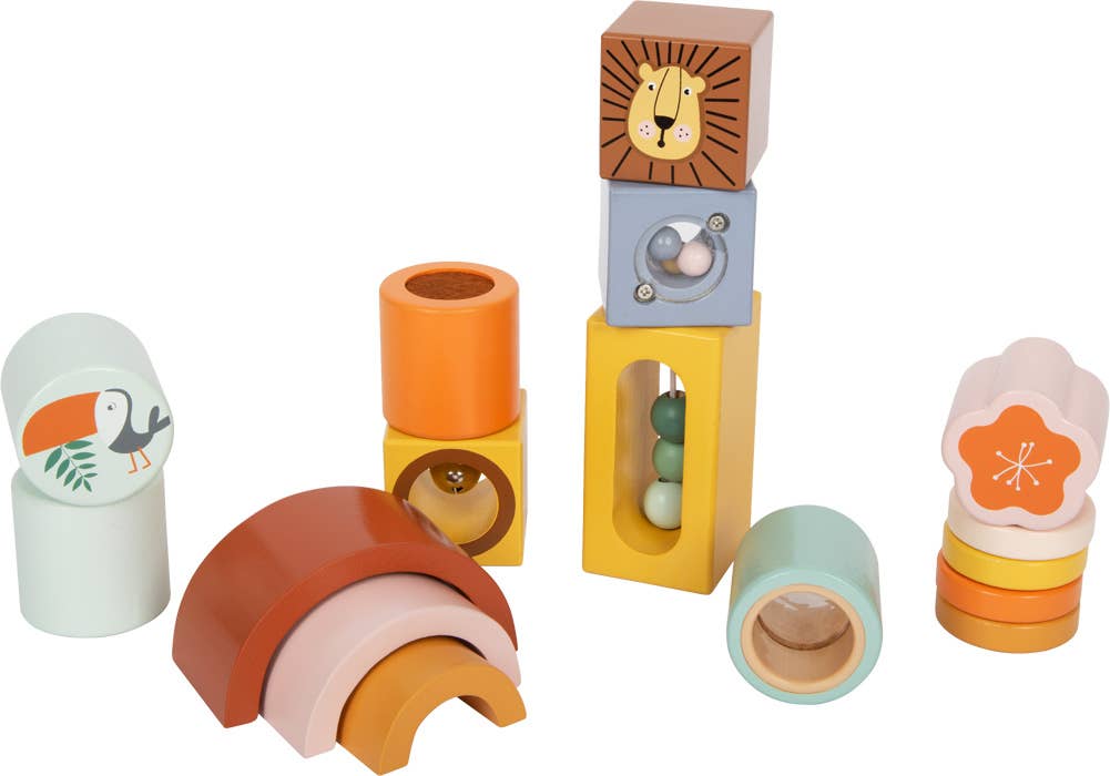 Explorer's Building Blocks 