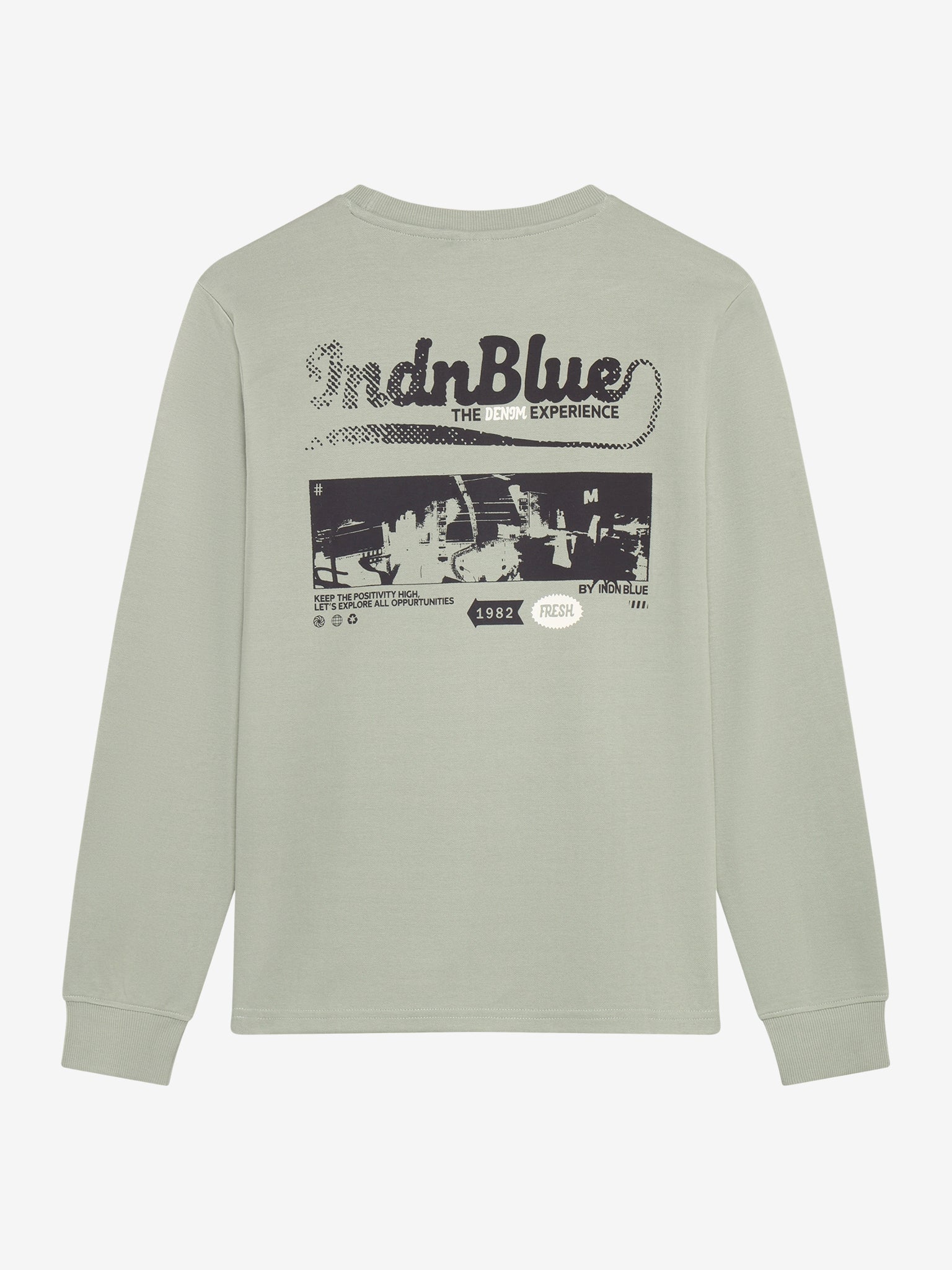 INDIAN BLUE JEANS Boys T-Shirt LS AW Sleeve Dust Green