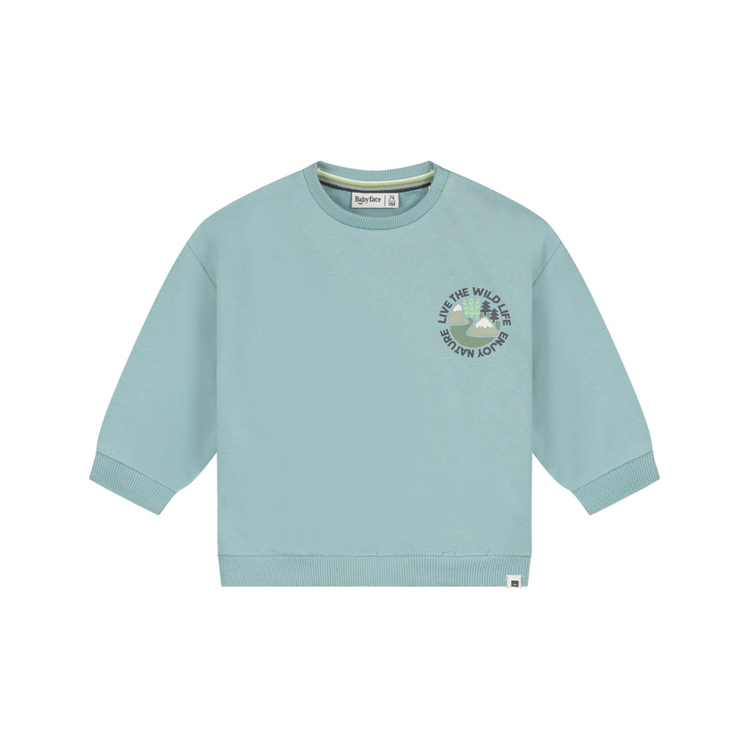 Babyface Baby Boys Sweatshirt Sky