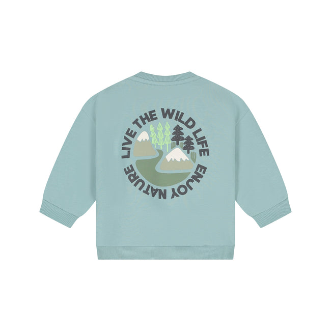 Babyface Baby Boys Sweatshirt Sky
