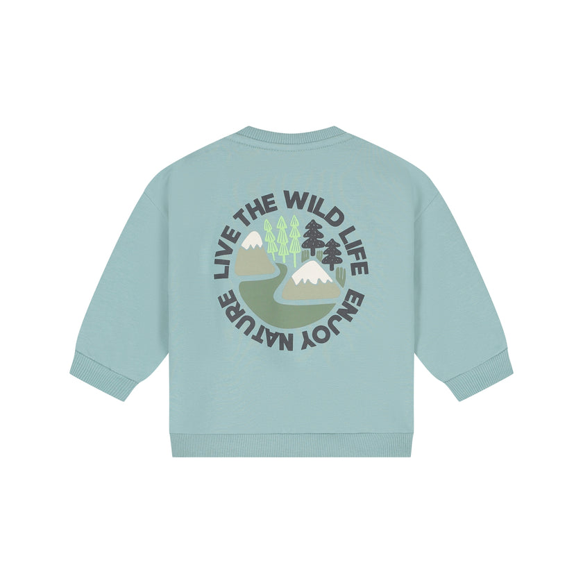 Babyface Baby Boys Sweatshirt Sky