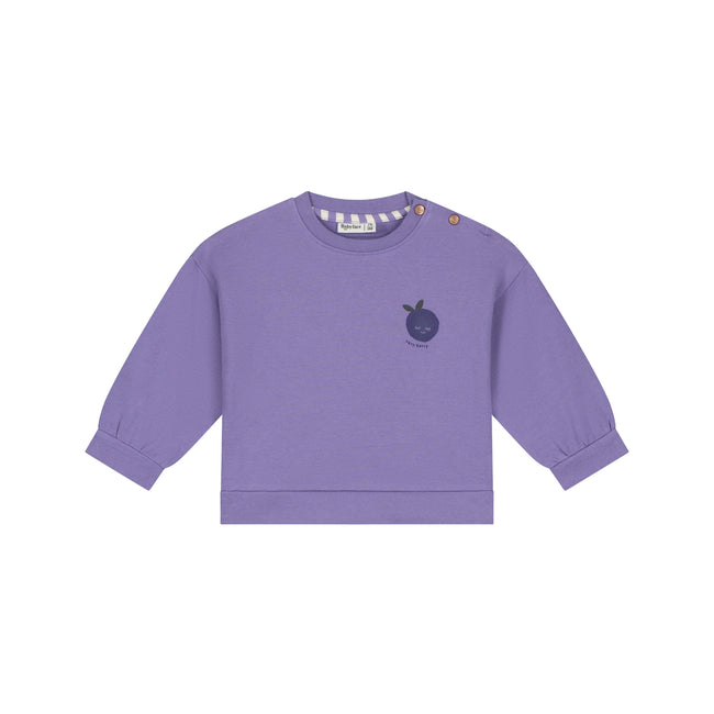 Babyface Baby Girls Sweatshirt Faded Plum