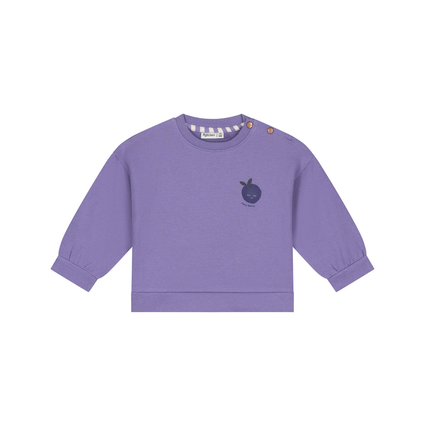 Babyface Baby Girls Sweatshirt Faded Plum
