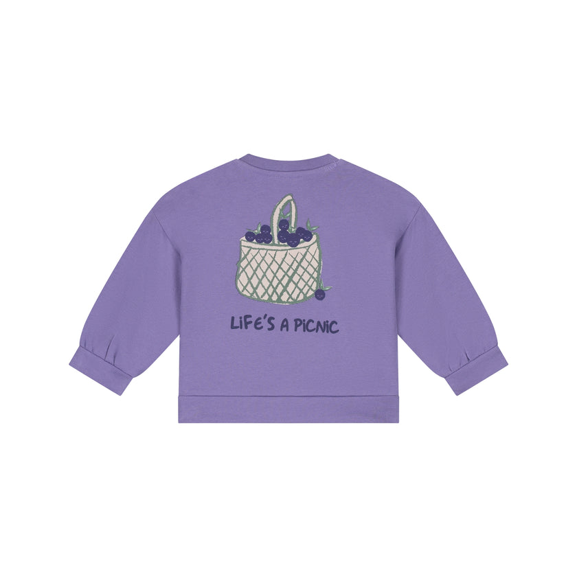 Babyface Baby Girls Sweatshirt Faded Plum