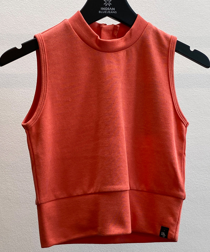 Details: This cropped singlet top in bright coral features short sleeves and a zip closure on the back. It offers a stylish and comfortable option for warm weather, making it perfect for a day out with friends. The vibrant color adds a pop of color to any outfit, making it a must-have for your wardrobe. Round Neckline.  Color: Bright coral  Composition:  Summer 2024  