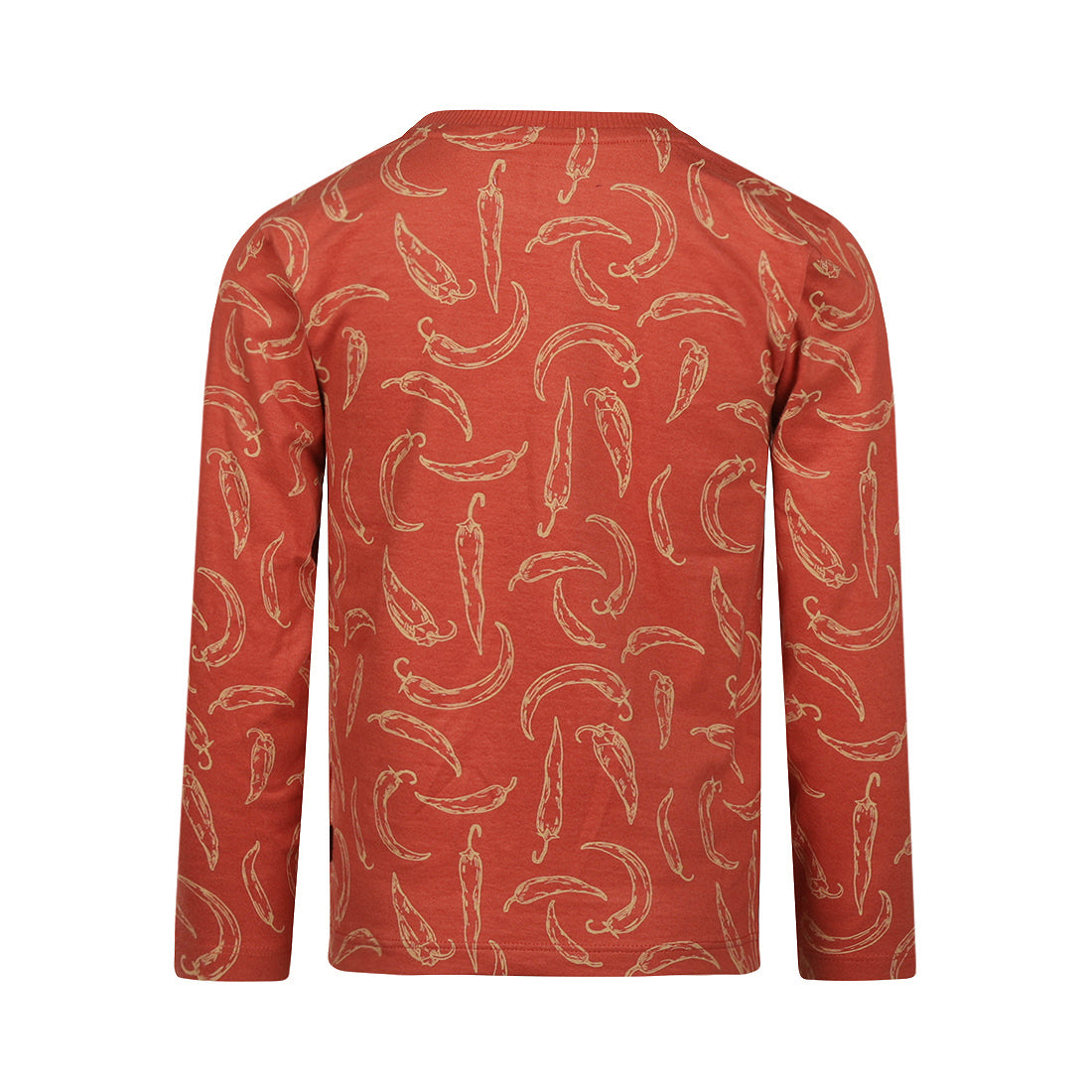 KOKO NOKO Boys Longsleeve Faded Red