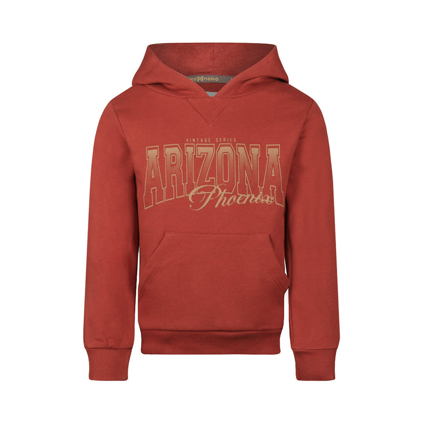KOKO NOKO Boys Hoodie Faded Red