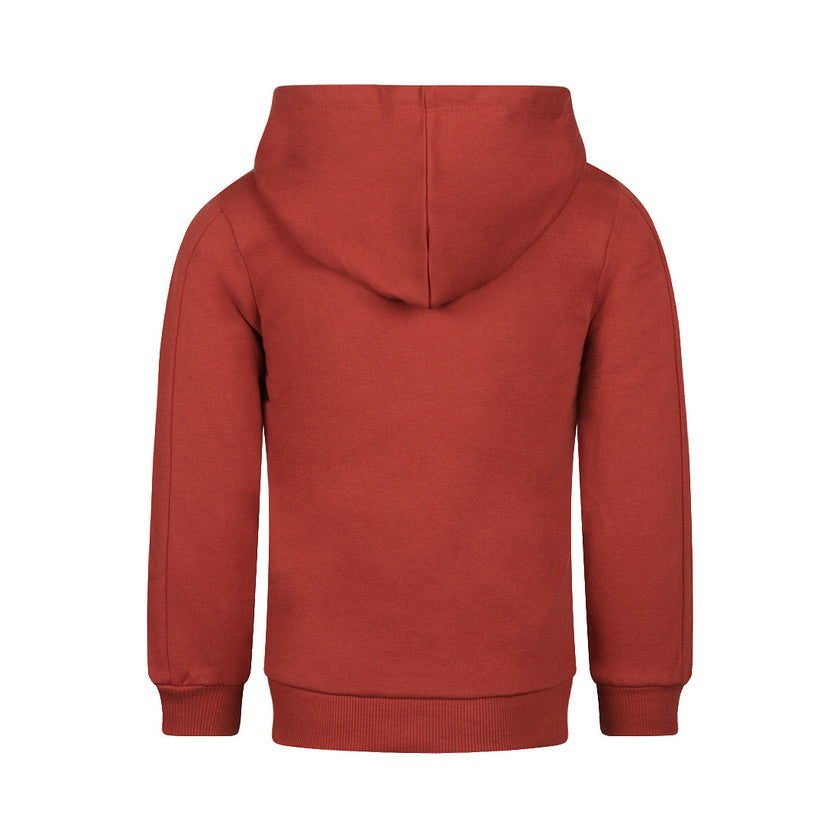 KOKO NOKO Boys Hoodie Faded Red