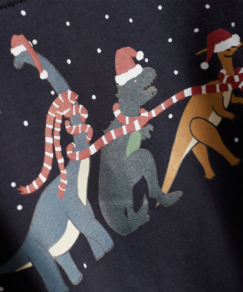 Details: This stylish sweatshirt with X-Mas Dinos on the front provides warmth and comfort perfect for your little boy. It features a dark navy blue color, a round neckline, and a ribbed waistband and arm cuffs. Your child will stay cozy and fashionable in this fun sweatshirt.  Color: Dark navy  Composition:  Organic Sweat Brushed 95% Cotton/ 5% Elastane  