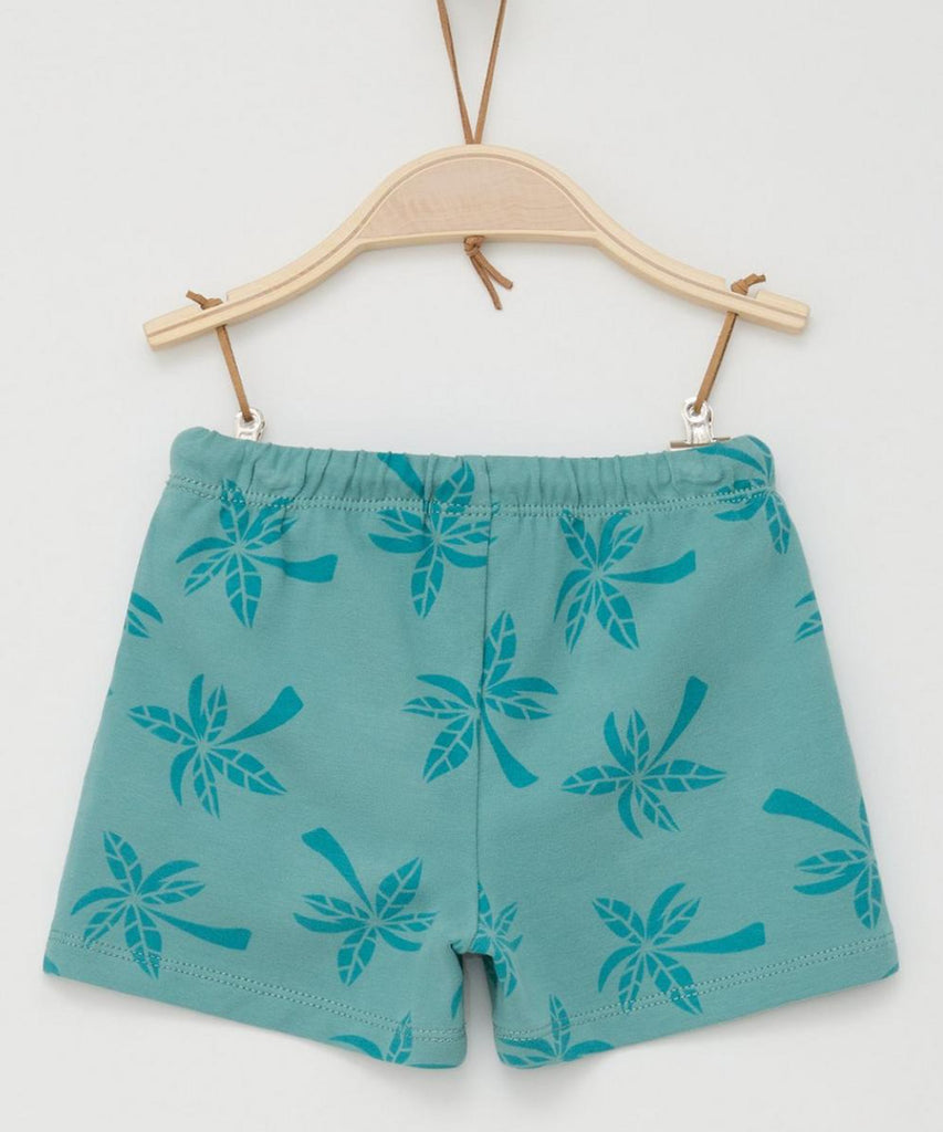 <strong>Details: </strong>Expertly designed baby jogg shorts with a comfortable elastic waistband for easy movement. Featuring a stylish all-over print of palm trees, these shorts are perfect for keeping your little one cool and fashionable. Made with high-quality materials, these shorts are a must-have for any baby's wardrobe.&nbsp;<br><strong>Color:</strong><span> Dusty mint&nbsp;</span><br><strong>Composition:</strong><span>&nbsp; 095%CO 005%EL &nbsp;</span>