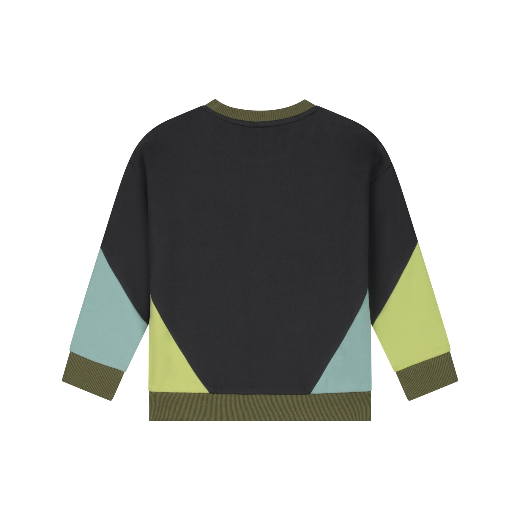 STAINS & STORIES Boys Sweatshirt Antra