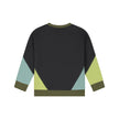STAINS & STORIES Boys Sweatshirt Antra