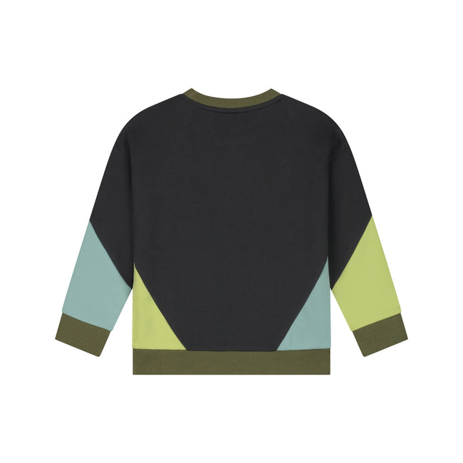 STAINS & STORIES Boys Sweatshirt Antra