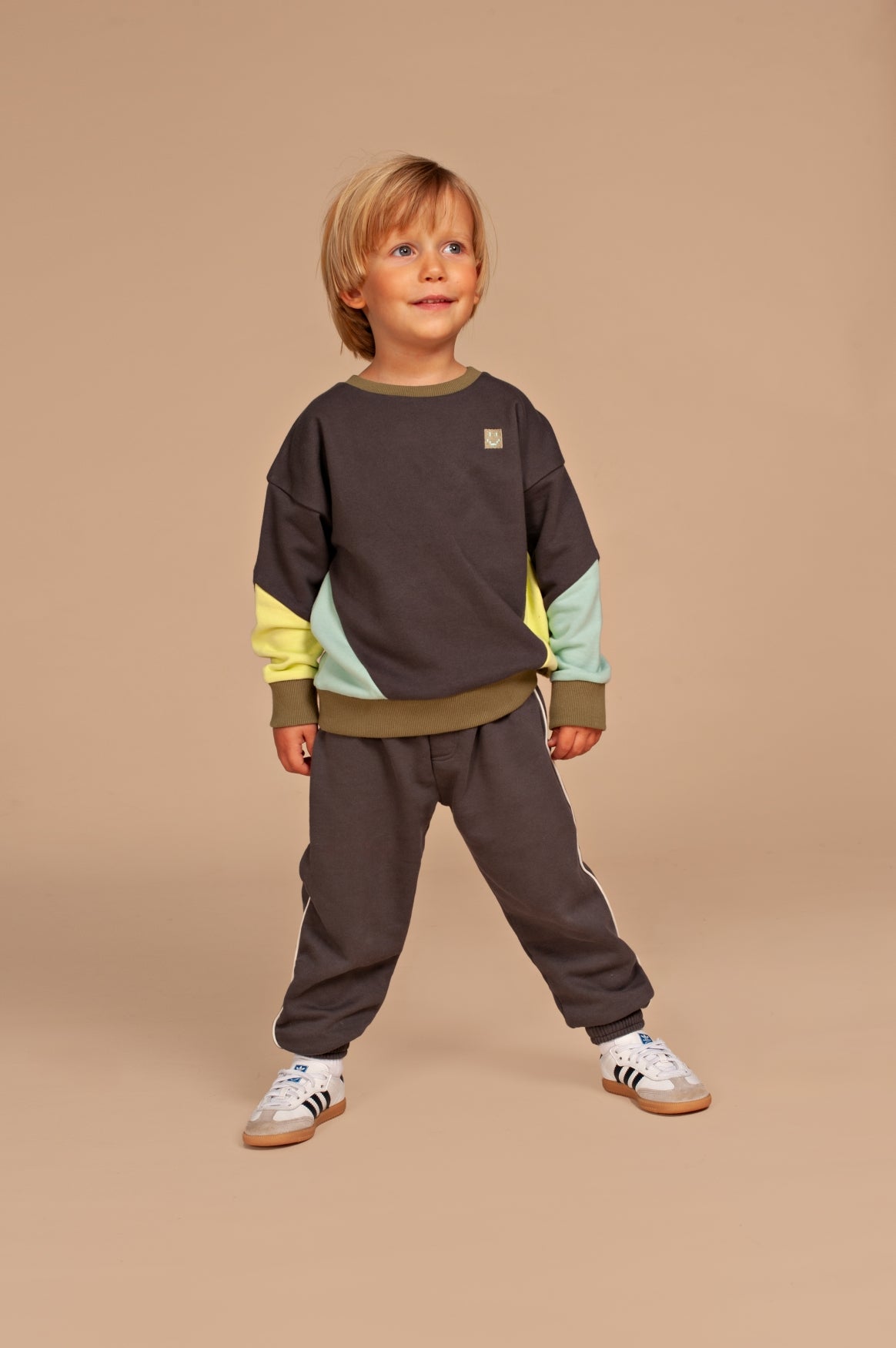 STAINS & STORIES Boys Sweatshirt Antra