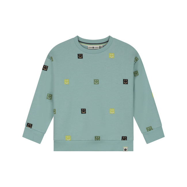STAINS & STORIES Boys Sweatshirt Water