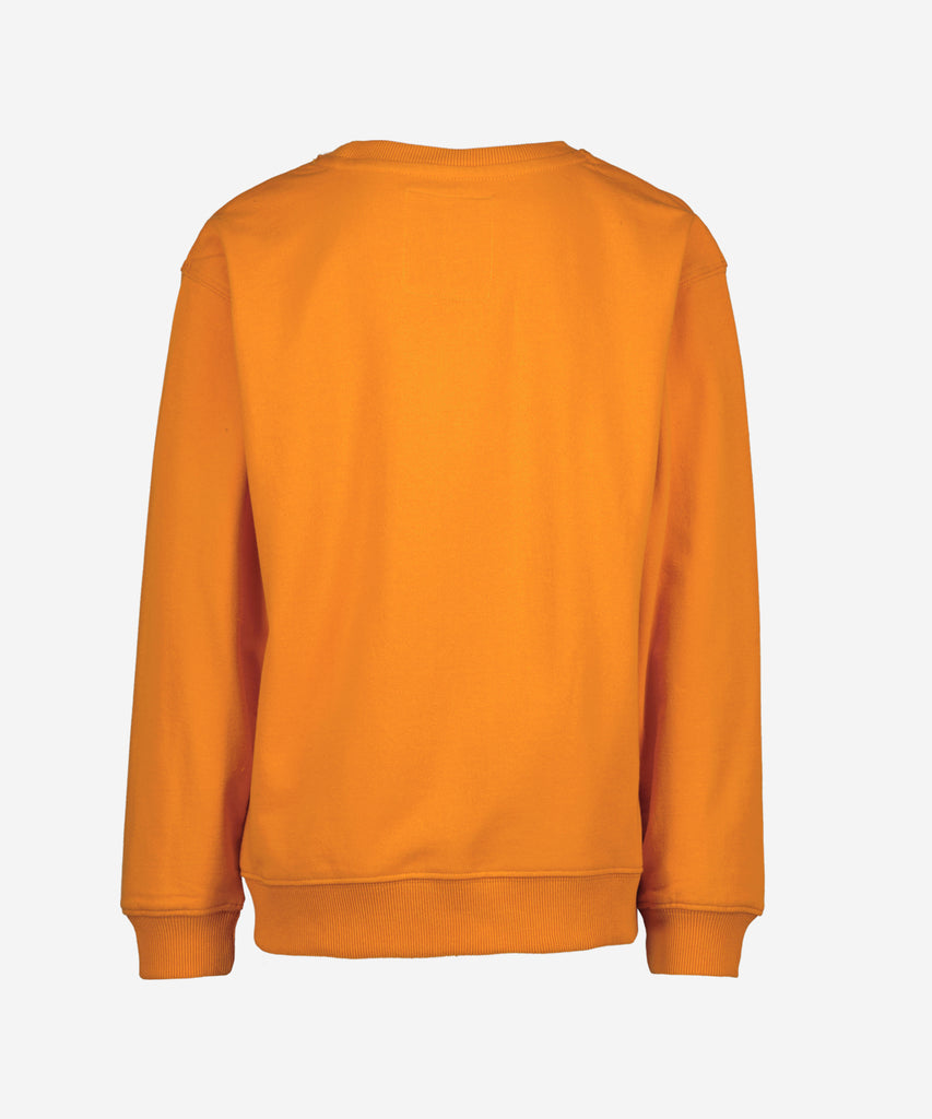 Details:  This Sweatshirt is perfect for teen boys, featuring ribbed arm cuffs and waistband for a great fit and a fancy print. It's also designed with a comfortable round neckline that provides an extra stylish look.  Color:  Deep cheddar  Composition: 60% Cotton / 40% Polyester   